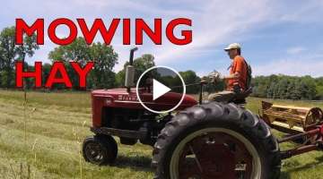 Farmall M mowing hay