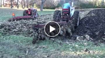 Plowing with Four Bottom Plow Pulled by Farmall 560 Tractor