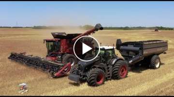 2020 WHEAT HARVEST with WALTER FARMS & HARVESTING