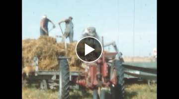 Vintage Farming Movies: Threshing Oats with IH Equipment in 1951