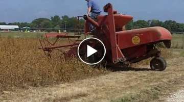 Antique Self Propelled Combines Harvesting Soybeans