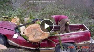 Dangerous Bad Fails Skills Cutting Tree 
