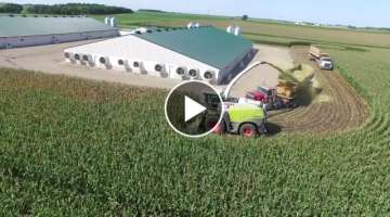 D&H Field Services silage chopping