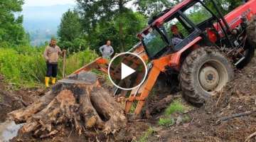 Tractors VS Big Tree Stump | Dangerous Stump Pulling 