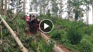 Extreme Dangerous Tree Tractor Working 