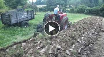 Farmall Super H Plowing