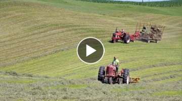 Baling Hay on a Small Dairy Farm l Small Squares l 2nd Crop 2021 l Dairy Farming in Wisconsin