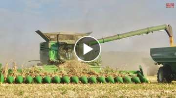 Big COMBINES Harvesting Corn