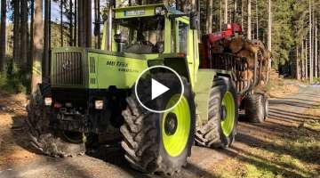 Holz Fahren 2021 mit MB trac 1400 Turbo (Sound)